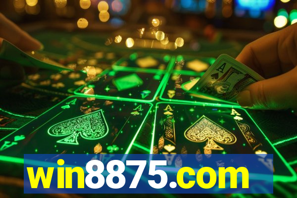 win8875.com