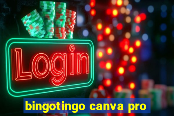 bingotingo canva pro