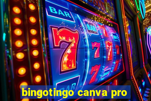 bingotingo canva pro