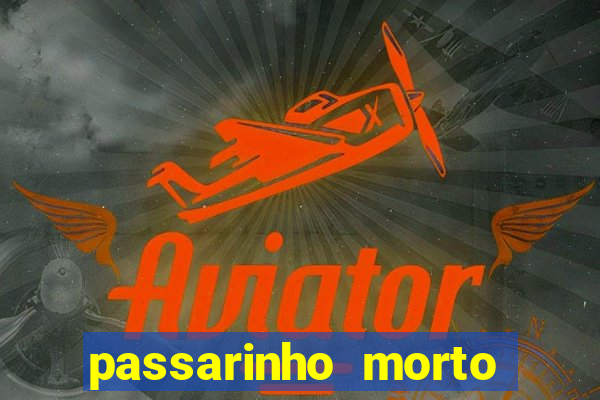 passarinho morto significado espiritual