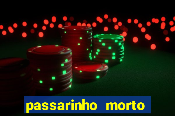 passarinho morto significado espiritual