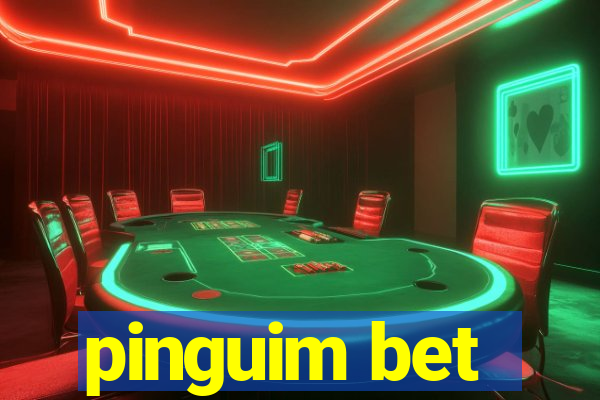 pinguim bet