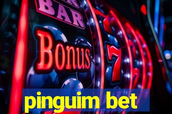 pinguim bet