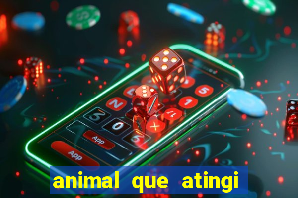 animal que atingi 230 decibeis