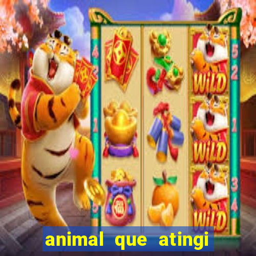 animal que atingi 230 decibeis