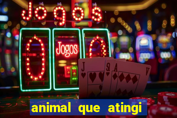 animal que atingi 230 decibeis