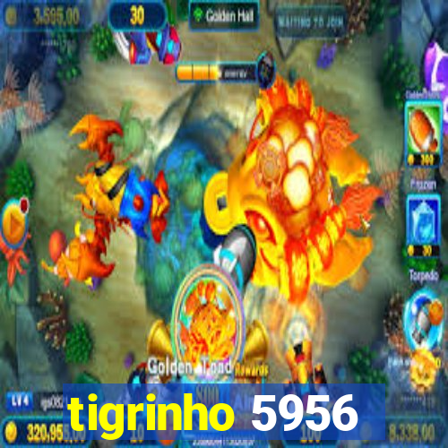 tigrinho 5956