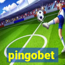 pingobet