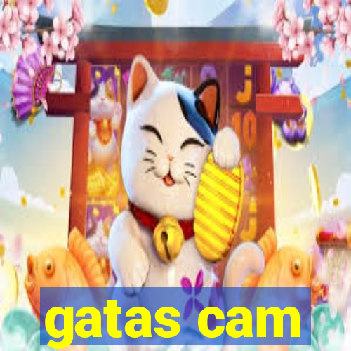 gatas cam