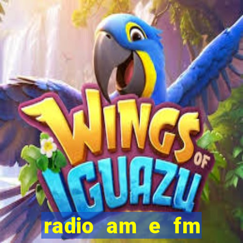 radio am e fm casas bahia