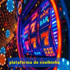 plataforma do coelhinho