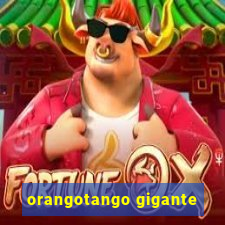 orangotango gigante