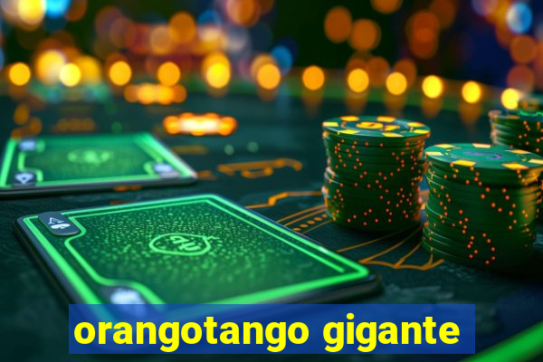 orangotango gigante