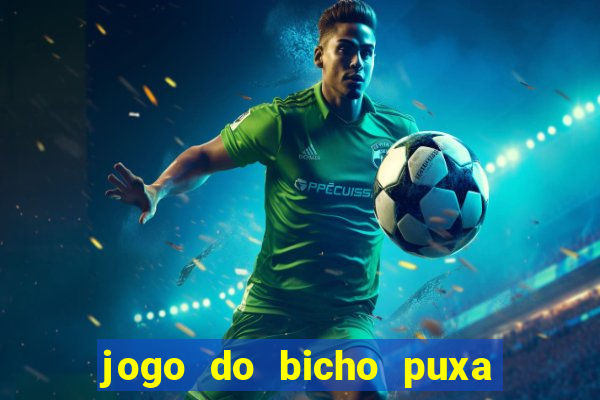 jogo do bicho puxa de dona maria