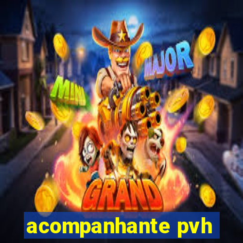 acompanhante pvh