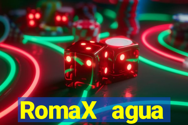 RomaX agua sanitaria fispq agua sanitaria romax