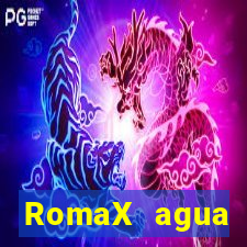 RomaX agua sanitaria fispq agua sanitaria romax