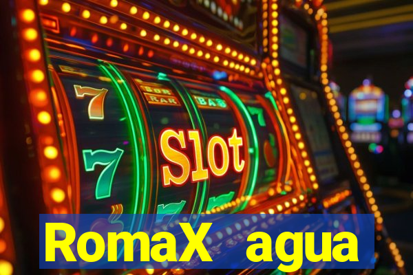 RomaX agua sanitaria fispq agua sanitaria romax