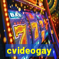 cvideogay