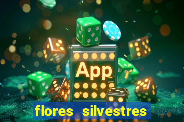 flores silvestres desbravadores desbravadores 25 flores silvestres e seus nomes