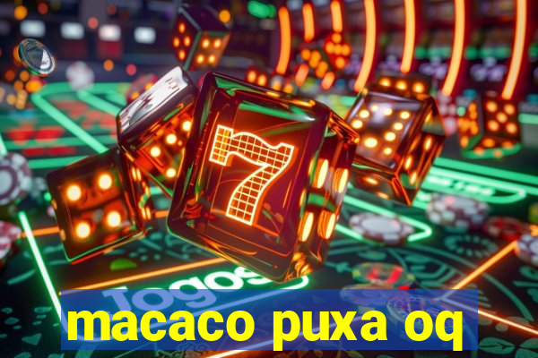 macaco puxa oq