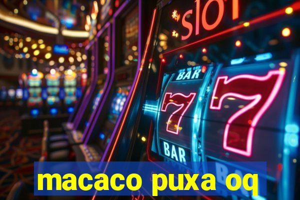 macaco puxa oq