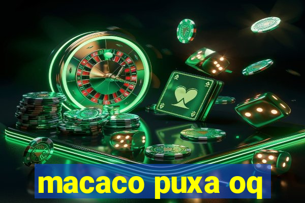 macaco puxa oq