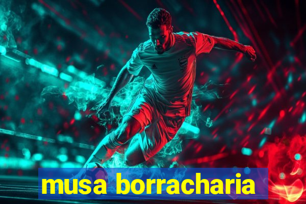 musa borracharia