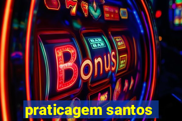 praticagem santos