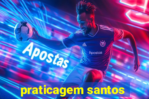 praticagem santos