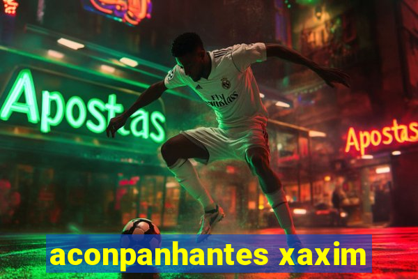 aconpanhantes xaxim