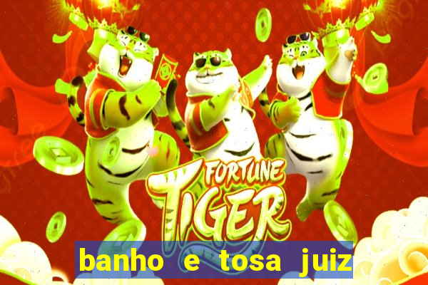 banho e tosa juiz de fora