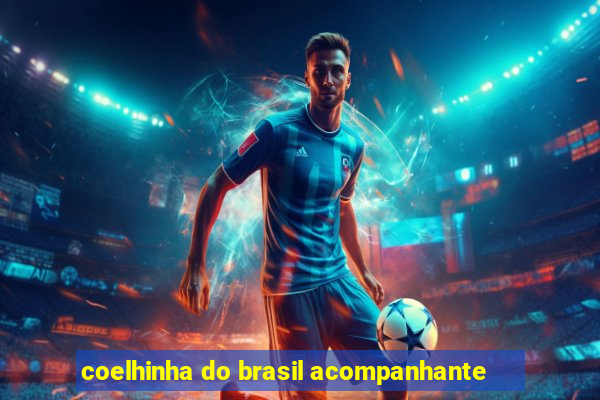 coelhinha do brasil acompanhante