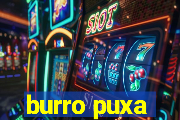 burro puxa