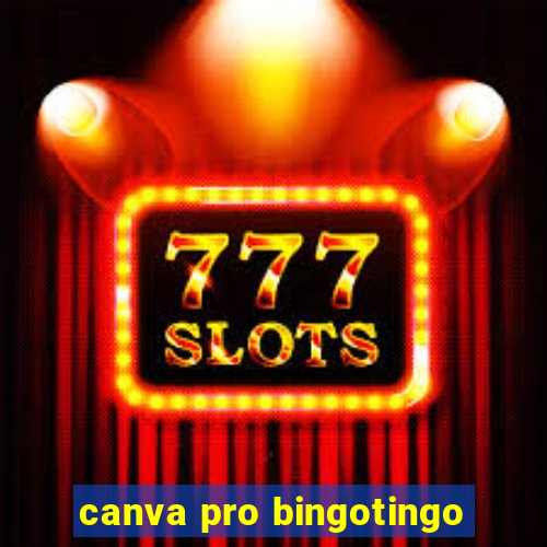 canva pro bingotingo