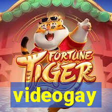 videogay