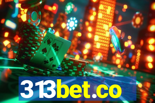 313bet.co