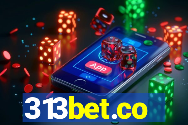 313bet.co