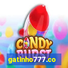 gatinho777.co