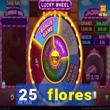 25 flores silvestres com nomes 25 flores silvestres desbravadores