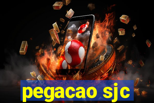 pegacao sjc