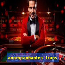 acompanhantes trans baixada fluminense