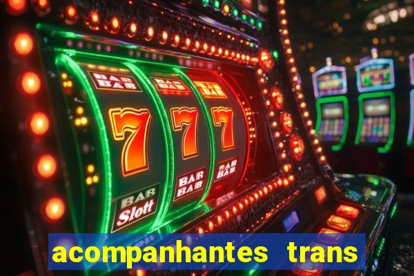 acompanhantes trans baixada fluminense