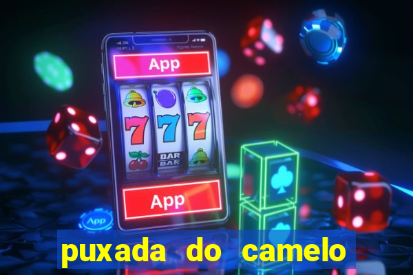 puxada do camelo no jogo do bicho