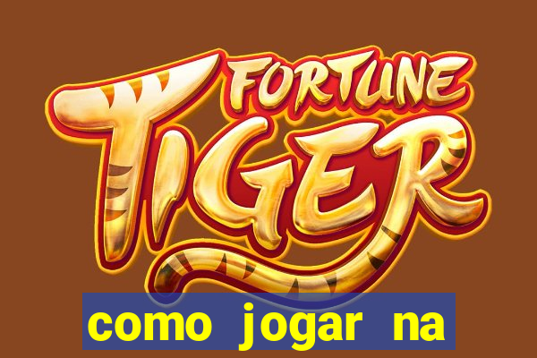 como jogar na loteca pela internet