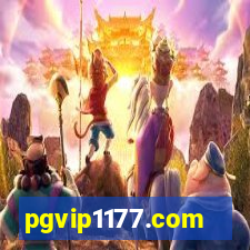 pgvip1177.com