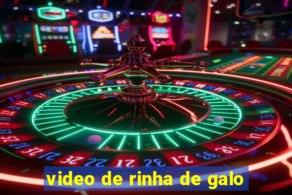 video de rinha de galo