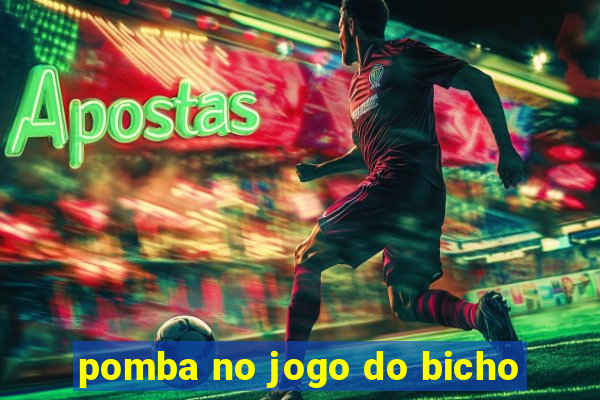 pomba no jogo do bicho