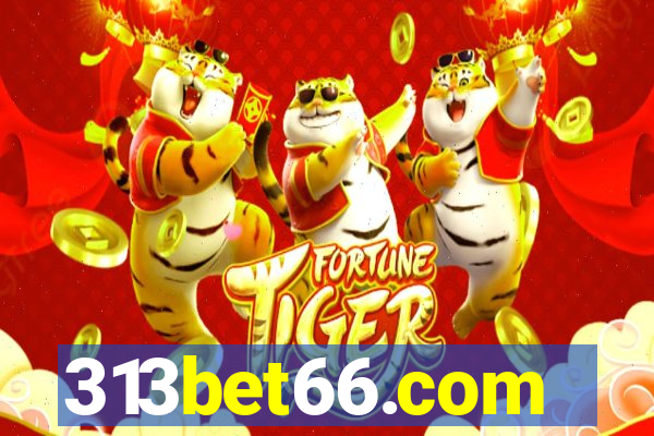 313bet66.com