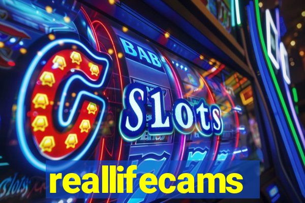 reallifecams